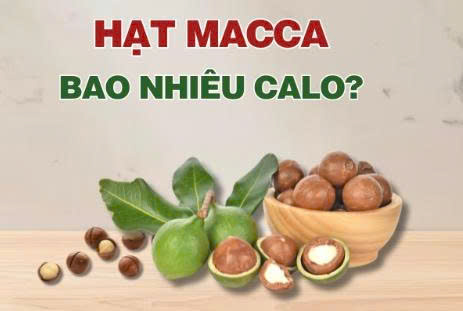 hạt dinh dưỡng